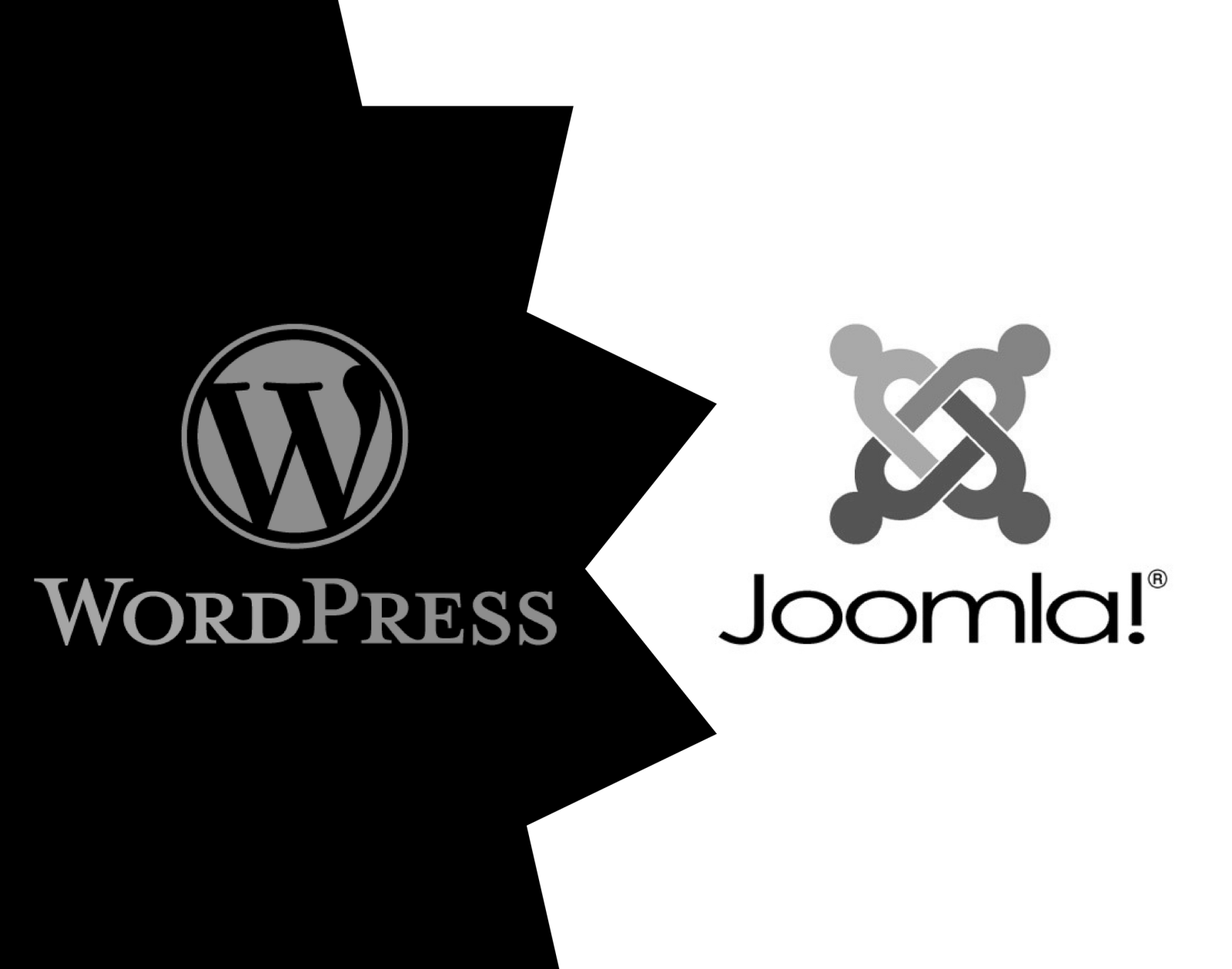 WordPress jest najpopularniejszym systemem zarządzania treścią stron internetowych (CMS)